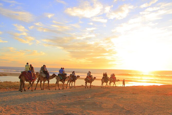Beach Camel Ride & Encounter in Cabo by Cactus Tours Park - Important Considerations