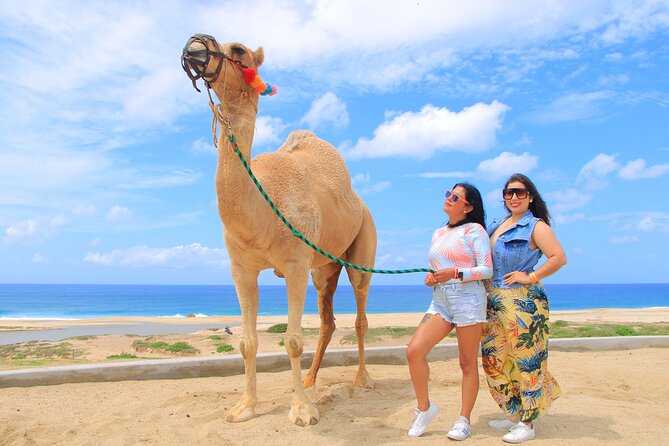 Beach CAN-AM SXS X3 & Camel Ride in Cabo by Cactus Tours Park - Booking and Cancellation