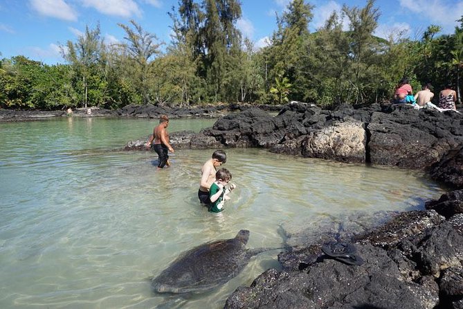 Beach Snorkel - Sea Turtle and Black Sand Lagoon - Highlights From Travelers Experiences