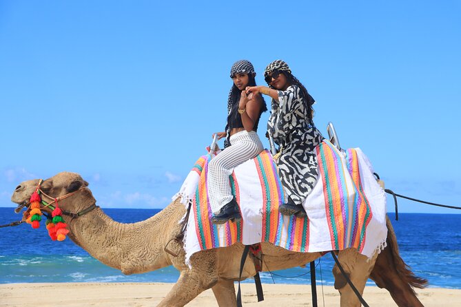 Beach UTV & Camel Ride COMBO in Cabo by Cactus Tours Park - UTV Driving Experience