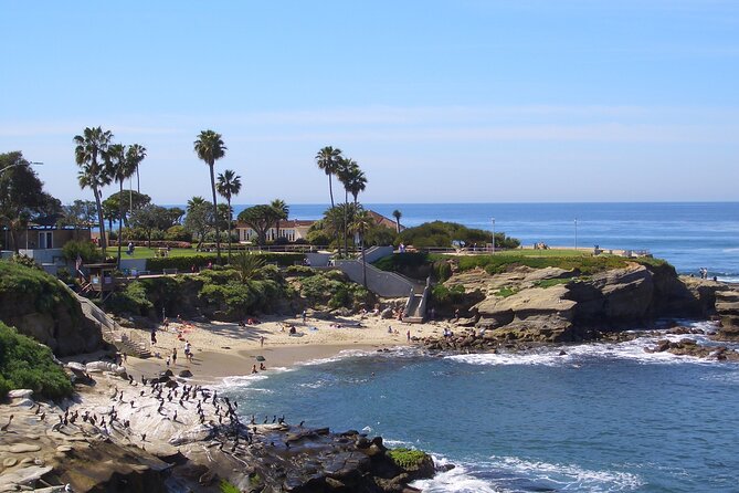 Beaches & Bluffs San Diegos Ultimate Coastal Driving Tour - Experiencing the Vibrant La Jolla Village