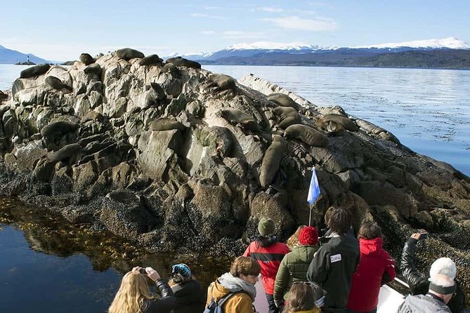 Beagle Channel Yacht Sailing Tour From Ushuaia - Customer Ratings and Reviews