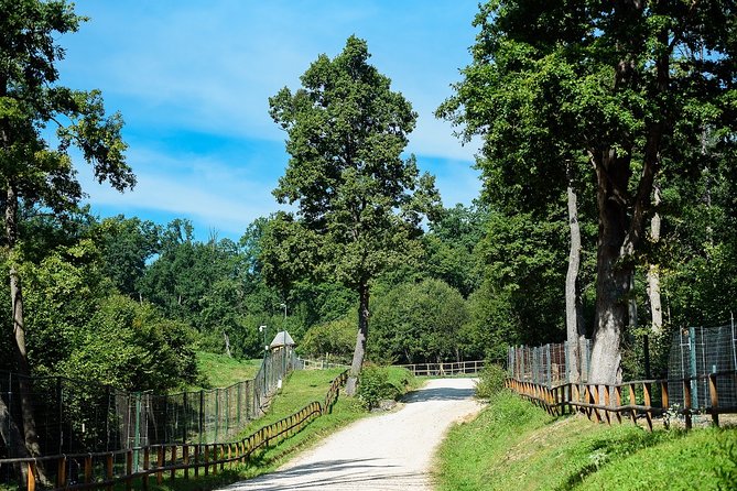 Bears Sanctuary & Dracula Castle - Tickets Included - Booking Details