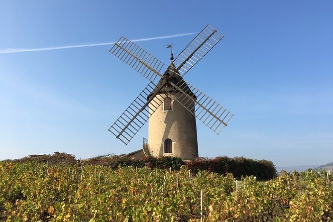 Beaujolais Wines & Castles - Private Tour - Half Day - Cancellation and Refund Policy
