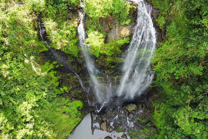 Beautiful Forest Hike to a Gorgeous Waterfall - Scenic Hiking Trail