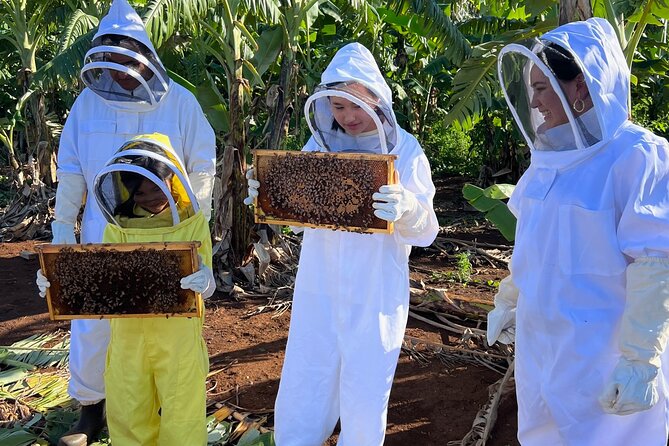 Bee Farm Ecotour and Honey Tasting in Waialua, North Shore Oahu - Hands-on Beekeeping Experience