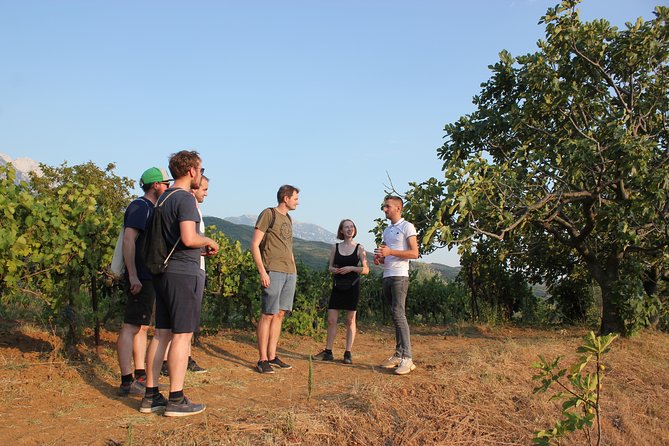Berat Wine Tour Guided Winery Tour With Transfers and Tastings - Expectations
