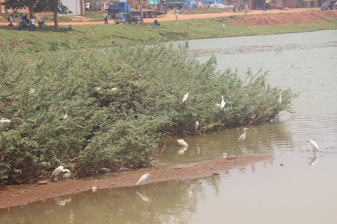 Best Full Day Cultural Tour of Kampala - Booking Process