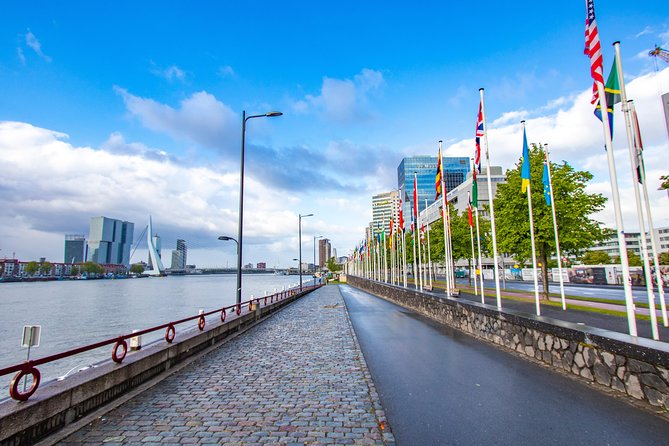 Best Intro Tour of Rotterdam With a Local - Tour Highlights and Inclusions