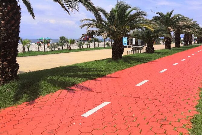 Best of Batumi | Private Walking Tour in the City + Wine Tasting - Meeting and Pickup Details