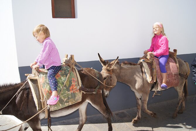 Best of Rhodes Tour Including Lindos and Medieval City - Itinerary Details