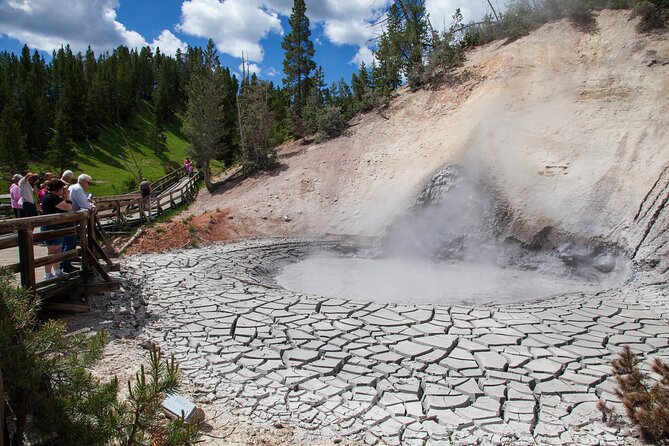 Best of Yellowstone Natl Park Tour From Paradise Valley - Customer Experience Highlights