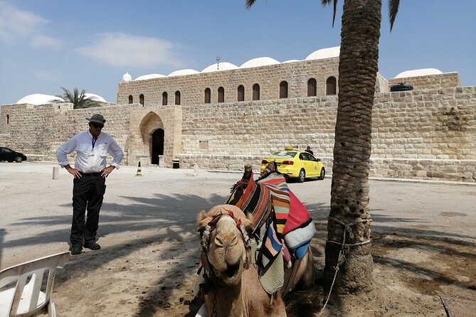 Bethlehem, Jericho, Hisham Palace and Qumran Full Day Private Tour - Booking and Cancellation