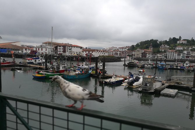 Biarritz & the Basque Coast Private Tour - Customer Reviews and Ratings