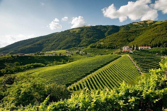 Bike Tours On The Wine Route Prosecco Valdobbiadene Unesco - Customer Reviews and Ratings