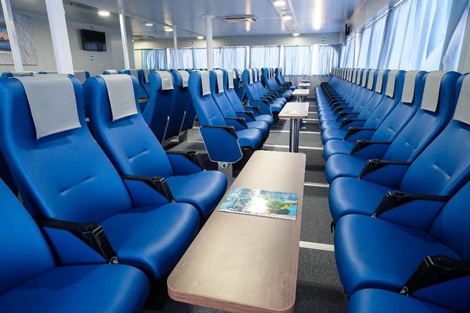 Bimini Day Cruise From Fort Lauderdale With Round-Trip Miami Transfer - Passenger Guidelines