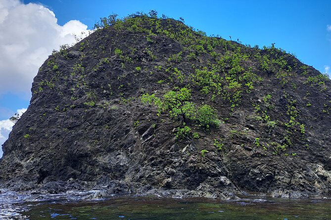 Bird Watching and Waterfall Adventure on the Caribbean Coast - Pricing