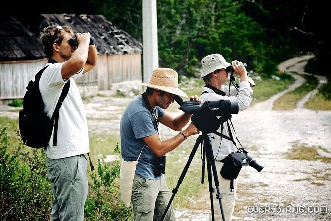Bird Watching in Sian Ka'an and Muyil Archaeological Site - Exploring Sian Kaan Biosphere