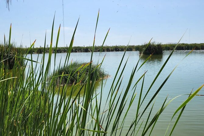 Birdwatching and Trekking in Lima City - Booking and Planning Tips