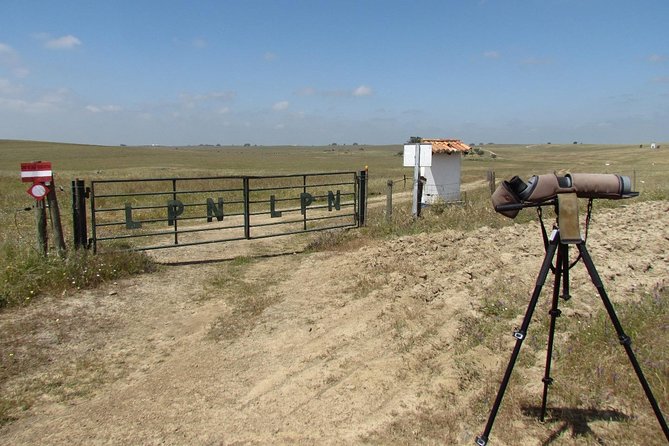 Birdwatching Day Around Castro Verde - Telescope and Binoculars Utilization