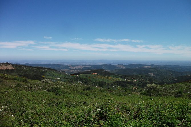 Birdwatching Day in the Monchique Hills - Review Highlights