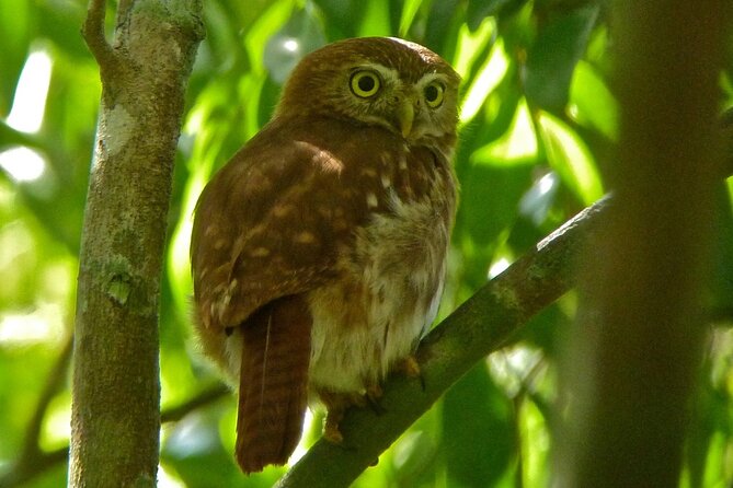 Birdwatching in Sian Ka'An and Muyil Archaeological Site From Tulum - Tour Group Size and Cancellation