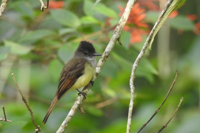Birdwatching - Booking and Cancellation Policies