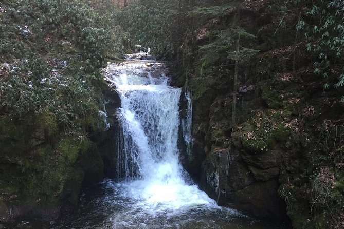 Black Forest Day Tour - Exploring Sasbachwalden