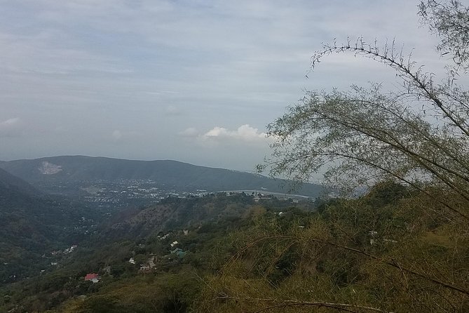 Blue Mountain Coffee Tour From Ocho Rios - Pricing and Cancellation Policy
