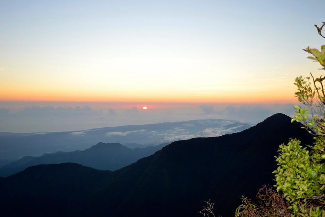 Blue Mountain Peak Hiking Tour From Kingston - Accommodation at Portland Gap