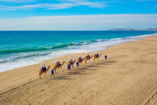 Boat Ride to the Arch and Beach Camel Ride in Cabo San Lucas Shared Tour - Exploring the Arch and Sea Lions