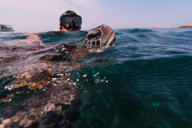 Boat Trip and Snorkeling at Daymaniyat Island - Ratings and Reviews