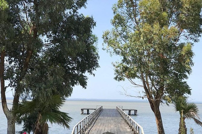 Boat Trip in Karavasta National Park and Apollonia Archaeological Park - Considerations for Booking