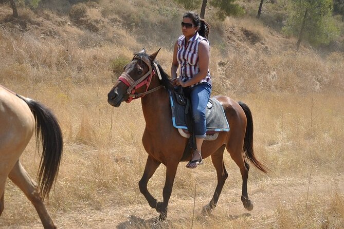 Bodrum Horse Safari - Pickup and Arrival