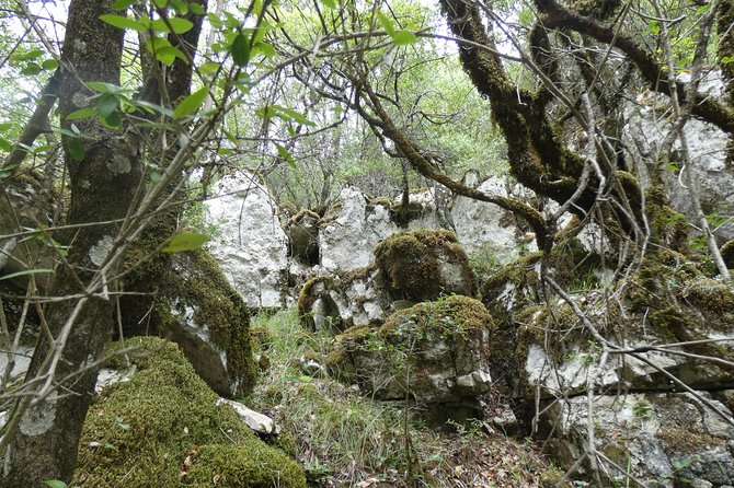BOGOVA WATERFALL & WINERY TOUR From Berat by 1001 AA - Cancellation and Refund Policy