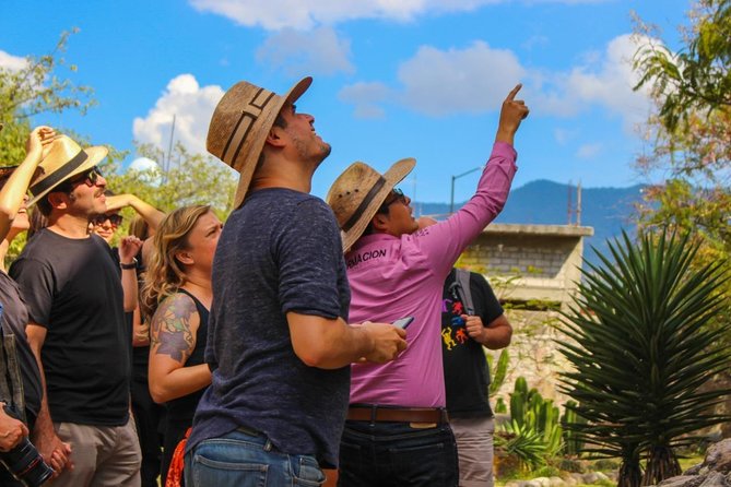 Boil the Water, Mitla, Tule, Mezcal and More - Customer Feedback and Ratings