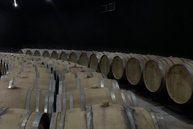 Bolgheri Wineries and Tuscany Tour - Transportation and Meeting Details