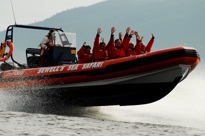 Bowen Explorer Sea Safari Tour - Safety and Accessibility