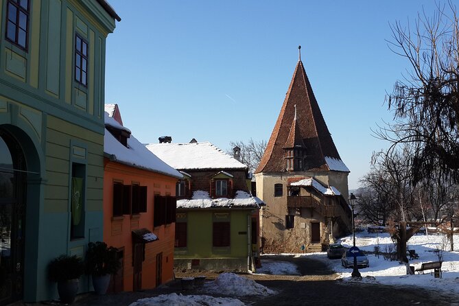 Brasov: Sighisoara & Bear Sanctuary Tour Entrance Fee Guaranteed - Highlights of the Tour