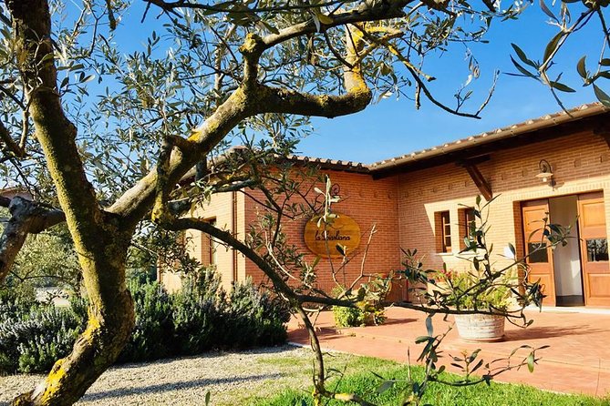 Brusca Wine Tour .f - Winery Highlights