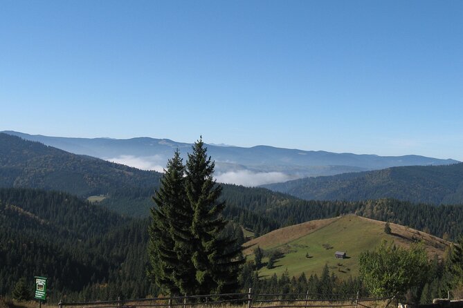 Bucovina Painted Monasteries Day Tour - Highlights of the Tour