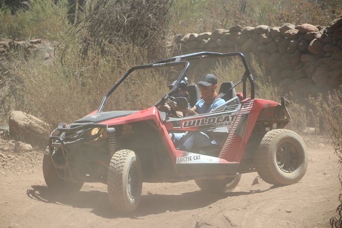 Buggy Safari Teide National Park - Suitability and Considerations
