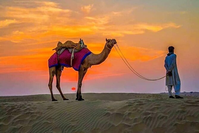 Buy 1 Get 1 Free Desert Safari With Dinner - Frequently Asked Questions
