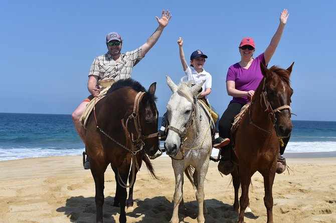 Cabo Desert Off-Road & Beach Horseback Combo and Tequila Tasting - Customer Feedback Highlights