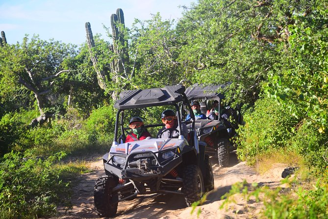 Cabo Migrino Beach & Desert Tour (Triple UTV) - What to Expect