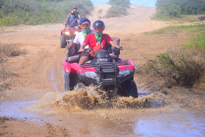 Cabo Original Real Baja 1000 Tour (Double ATV) - Health and Safety Considerations