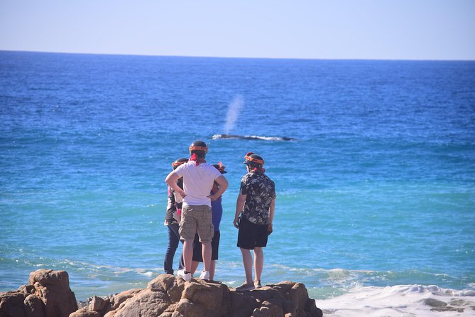 Cabo Original Real Baja 1000 Tour (Single ATV) - Cancellation Policy and Pricing