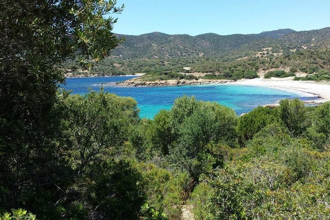 Cagliari: Full-Day Private Tour of Sardinias Hidden Beaches From Chia - Transportation and Logistics