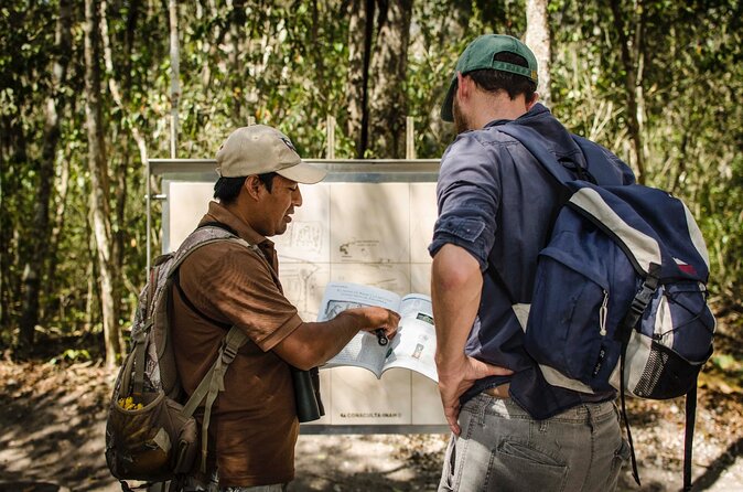 Calakmul Ancient Maya City Tour - From Campeche - Explore Calakmuls Ruins
