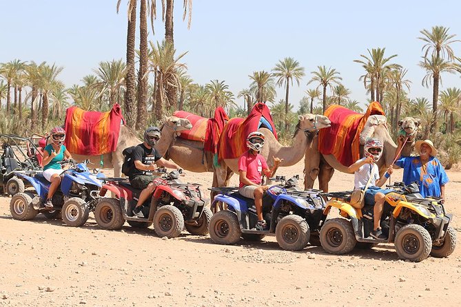 Camel Ride and Quad Bike in Palmeraie - Camel Ride Experience